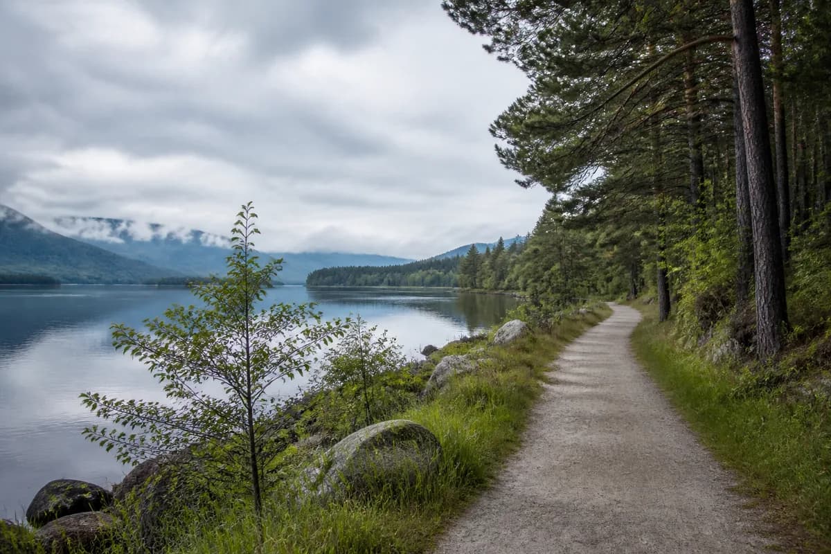 Calm water, mixed trees, and an empty path under overcast light
